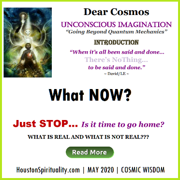 Dear Cosmos. What Now? by David LE