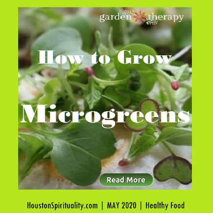 How to Grow Microgreens by Garden Therapy