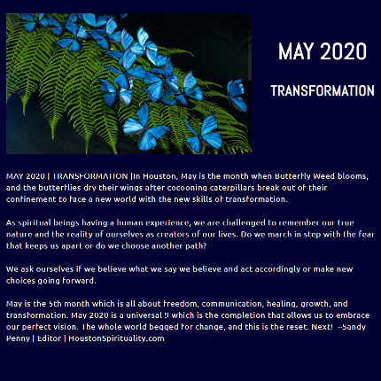 Transformation by Sandy Penny May 2020