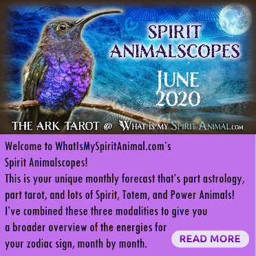 Spirit Animalscopes for June 2020 Hummingbird
