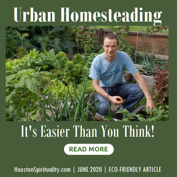 Urban Homesteading, It's easier than you think. 