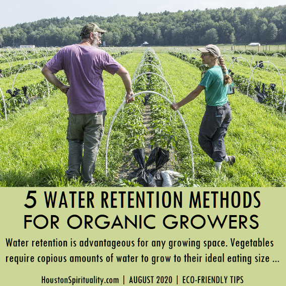 5 Water retention methods for organic growers.