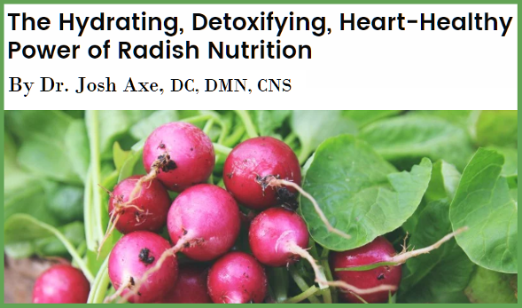 The Hydrating, Detoxifying, Heart-Healthy Power of Radishes by Dr. Axe