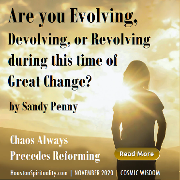 Are You Evolving, Devolving or Revolving by Sandy Penny