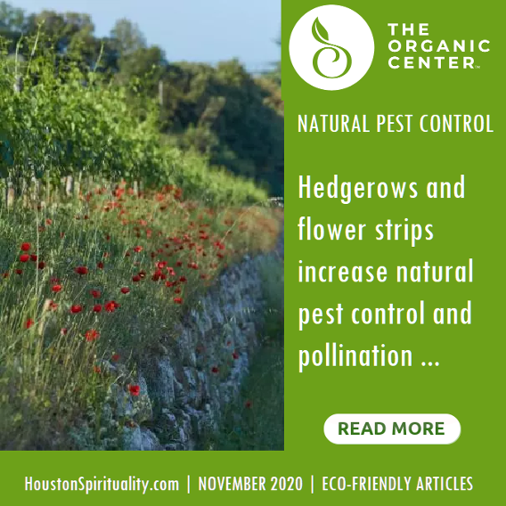 Natural Pest Control, The Organic Center. Nov 2020