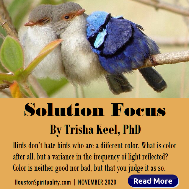 Solution Focus by Trisha Keel, PhD Nov 2020 HSM