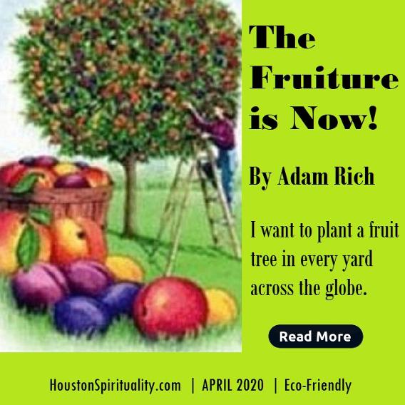 The Fruiture is Now! Planting food trees around the world.