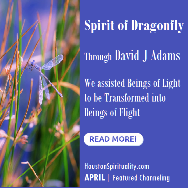 Spirit of Dragonfly, a channeling by David J Adams HSM April
