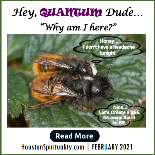 Hey Quantum Dude, Why am I here? by David Allison L/E
