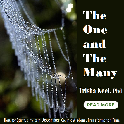 The One and The Many by Trisha Keel