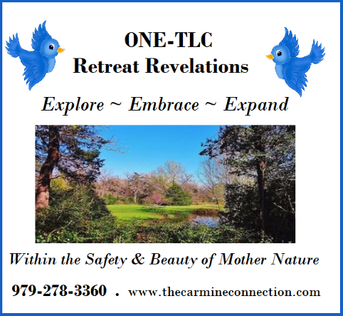 Retreat Revelations. Explore. Experience. Expand in the safety of mother nature. Oneness Now Energy