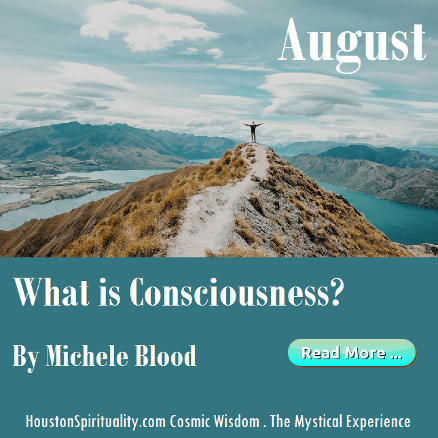 What is Consciousness? by Michele Blood