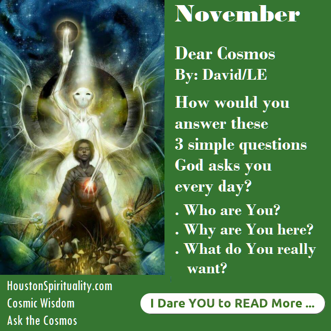 Dear Cosmos November David LE 3 Simple Questions