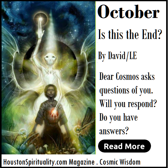 Dear Cosmos, Is this the end? by David/LE