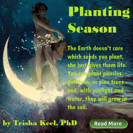 Planting Season. by Trisha Keel. Transformation Time. HoustonSpirituality.com