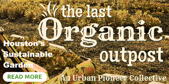 The Last Organic Outpost. Houston's Sustainable Garden. HSM