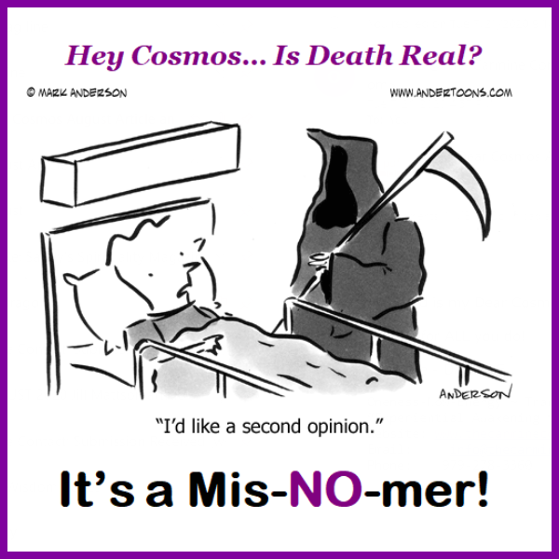 Dear Cosmos Cartoon. Is Death Real?