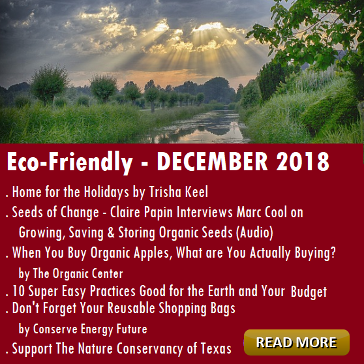 Eco-Friendly Articles for DECEMBER Houston Spirituality Mag