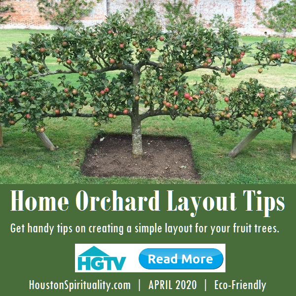 Home Orchard Layout Tips from HGTV