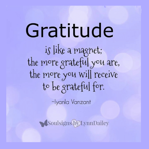 Gratitude is like a magnet. Iyanla Vanzant