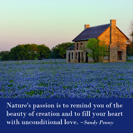 Nature's passion is to remind you of the beauty of creation and to fill your heart with unconditional love. Sandy Penny. book link