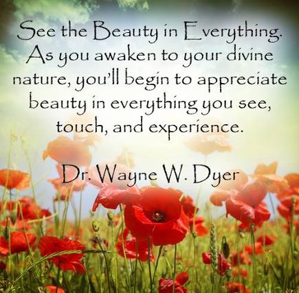 See the Beauty in Everything. Dr. Wayne W. Dyer meme and quotes book link