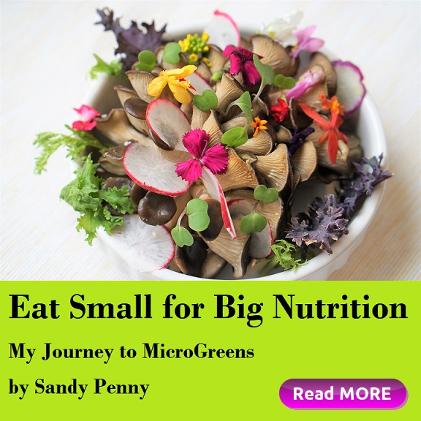 Eat Small for Big Nutrition by Sandy Penny January HSM