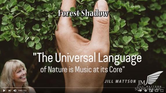 Forest Shadow Universal Language of Music by Jill Mattson Video