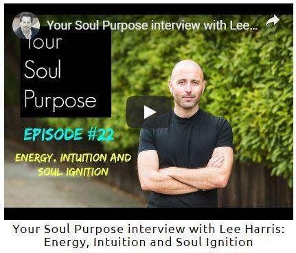 Your Soul Purpose by Lee Harris