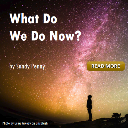 What Do We Do Now? by Sandy Penny