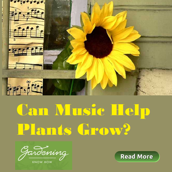Can Music Help Plants Grow?
