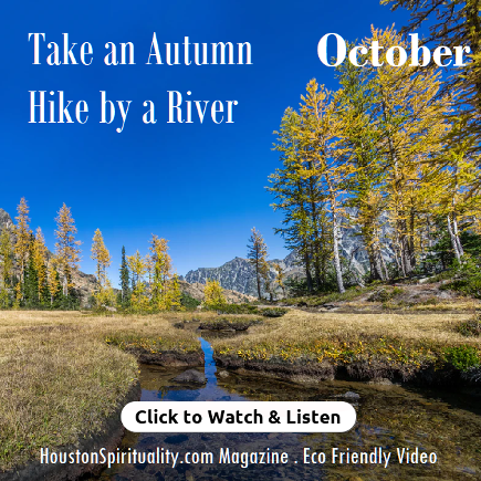 Take an Autumn Hike by a River VIDEO
