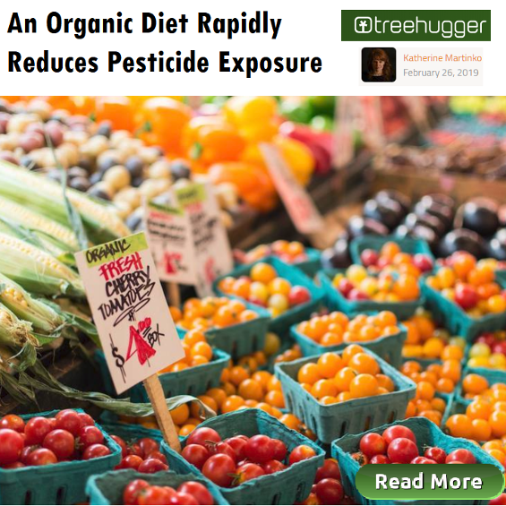 An Organic Diet Rapidly Reduces Pesticide Exposure, Healthy Food, Houston Spirituality Mag