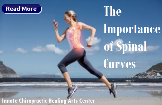 The Importance of Spinal Curves, Innate Chiropractic