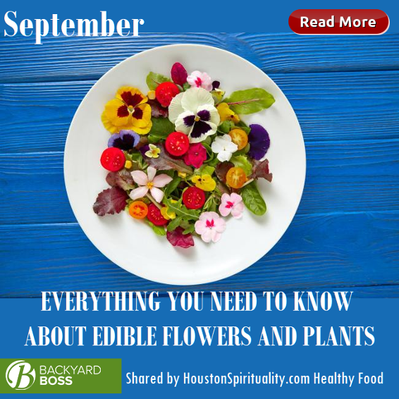 Everything You Need to Know about edible flowers and plants. Back Yard Boss