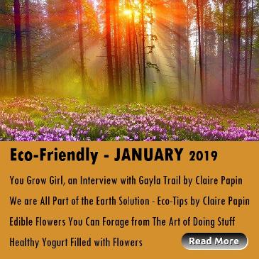 Eco-Friendly Articles for January Houston Spirituality Magazine