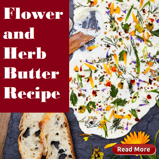 Flower and Herb Butter Recipe