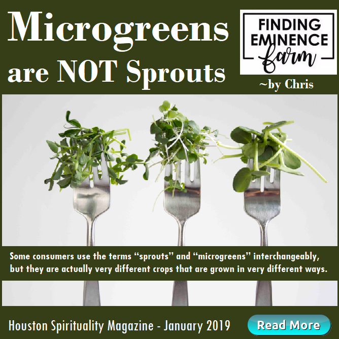Microgreens are NOT Sprouts Jan HSM
