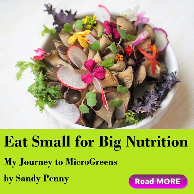 Microgreens - Eat Small For Big Nutrition - Zero-Point Organics
